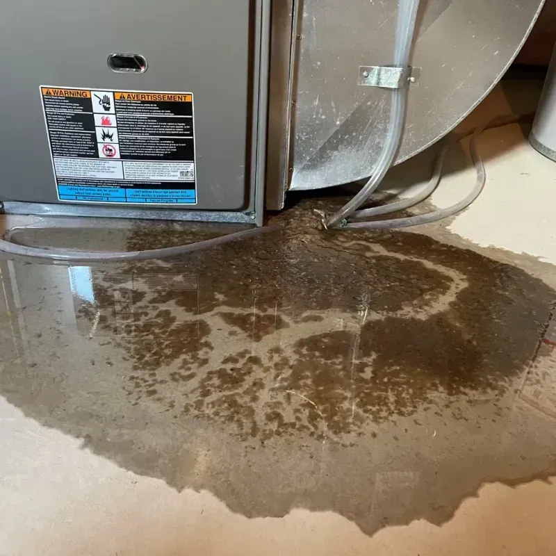 Appliance Leak Cleanup in Caddo, OK